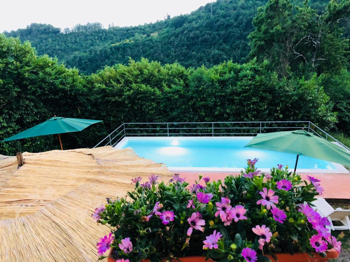 La Vecchia Canonica 菲维扎诺 外观 照片